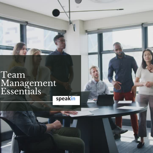Team Management Essentials