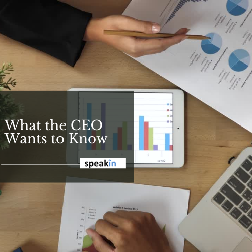 What the CEO Wants to Know