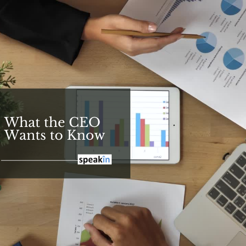 What the CEO Wants to Know