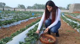 Gurleen Chawla, ‘Strawberry Girl of Jhansi’ and Founder of Jhansi Organics: SpeakIn