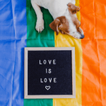 Celebrating Pride Through Education and Acceptance