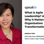 What is Agile Leadership? And Why It Matters In Organisation Transformation.